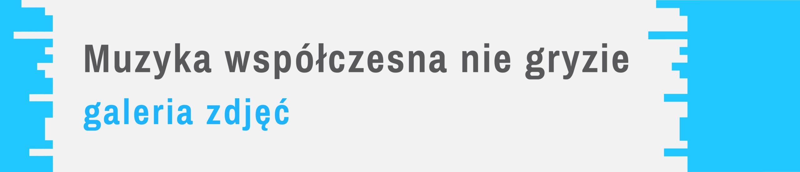 MWNG galeria baner
