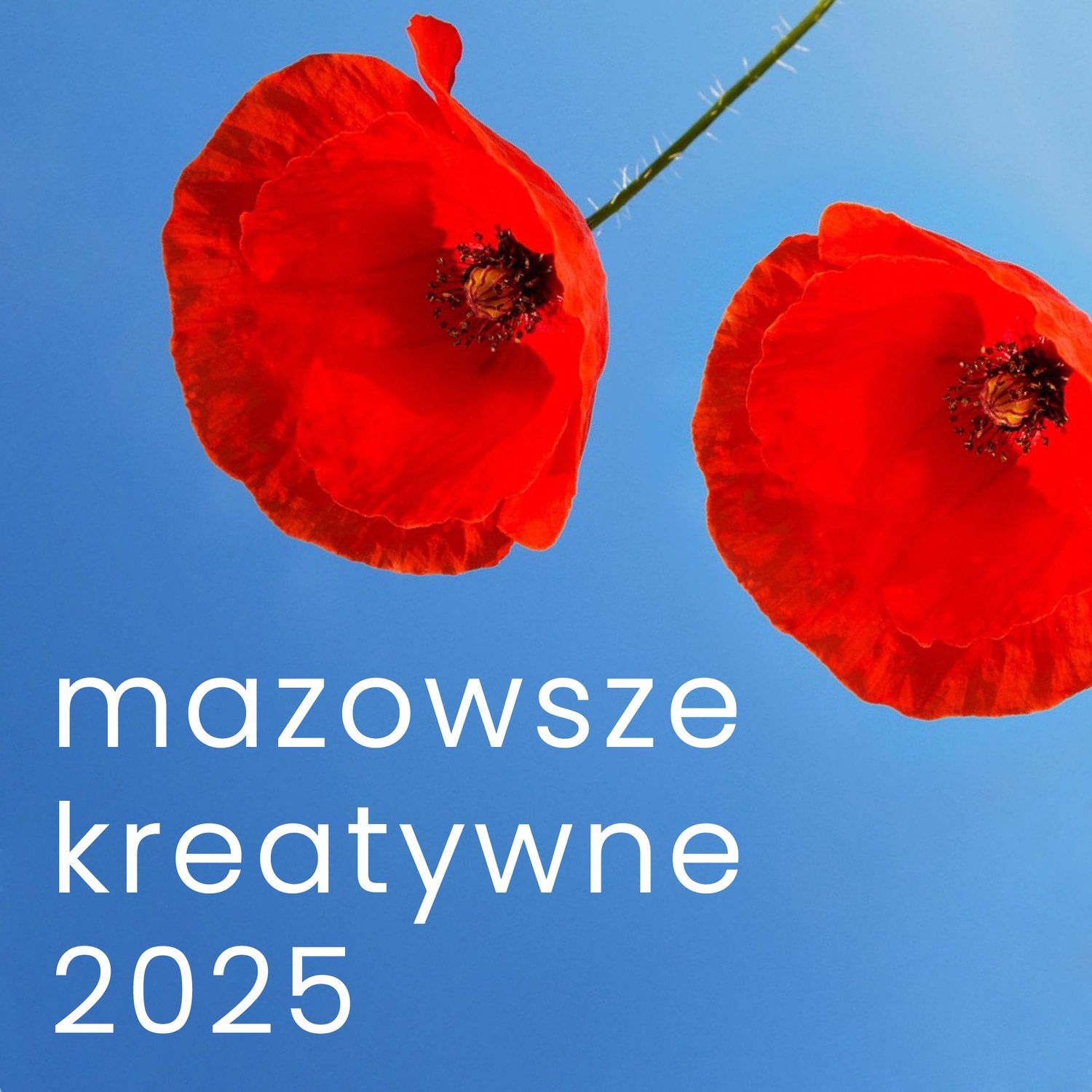 2025 MK maki grafrika całość-03